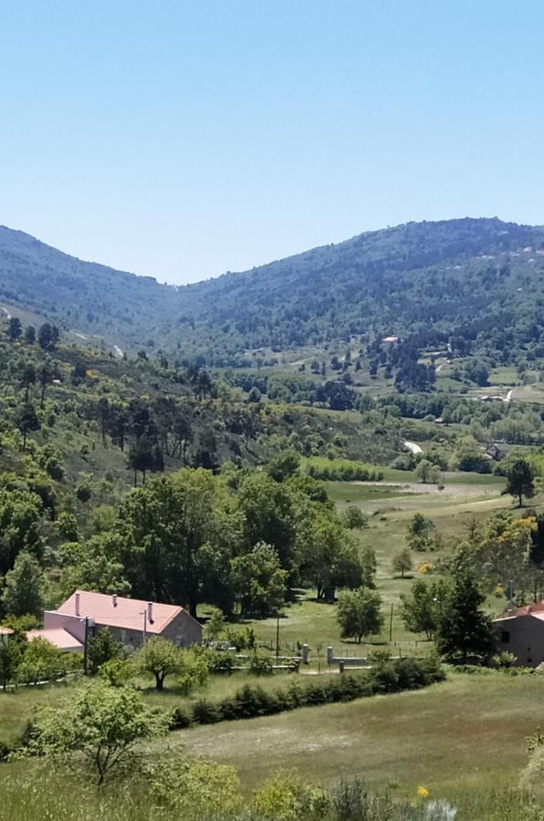Turismo Rural Macieira Brava Guarda Dış mekan fotoğraf