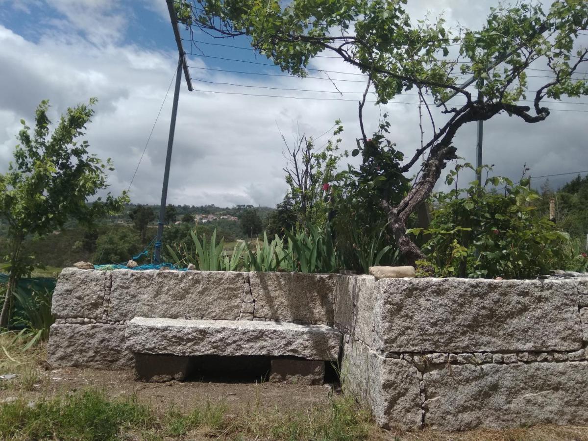Turismo Rural Macieira Brava Guarda Dış mekan fotoğraf