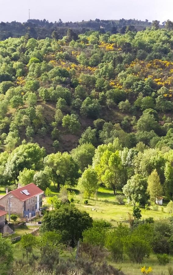 Turismo Rural Macieira Brava Guarda Dış mekan fotoğraf