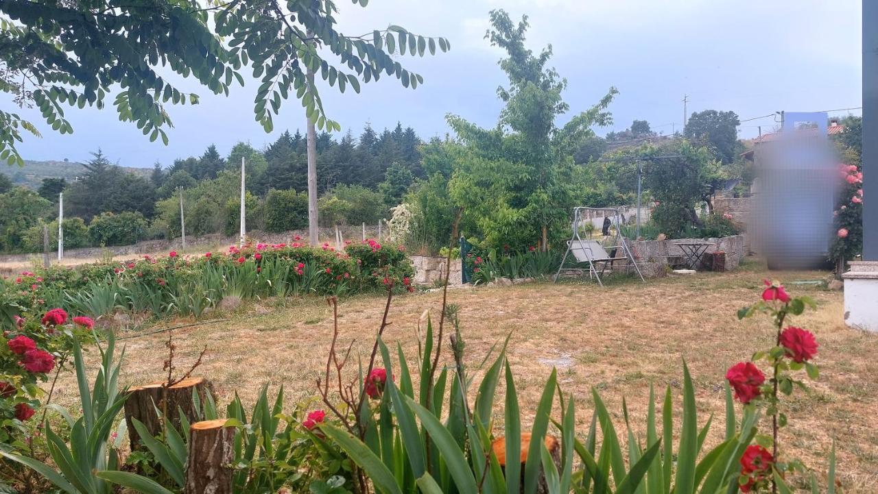 Turismo Rural Macieira Brava Guarda Dış mekan fotoğraf
