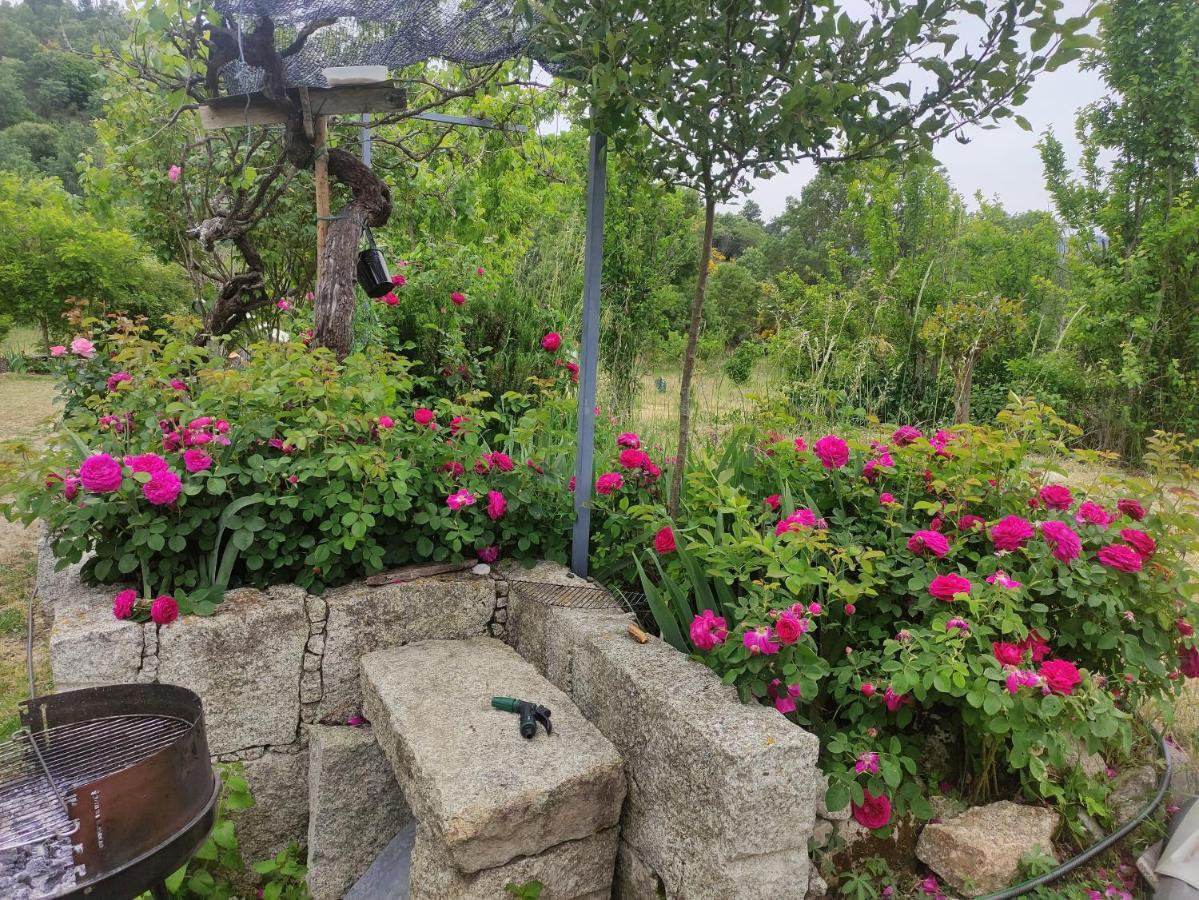 Turismo Rural Macieira Brava Guarda Dış mekan fotoğraf