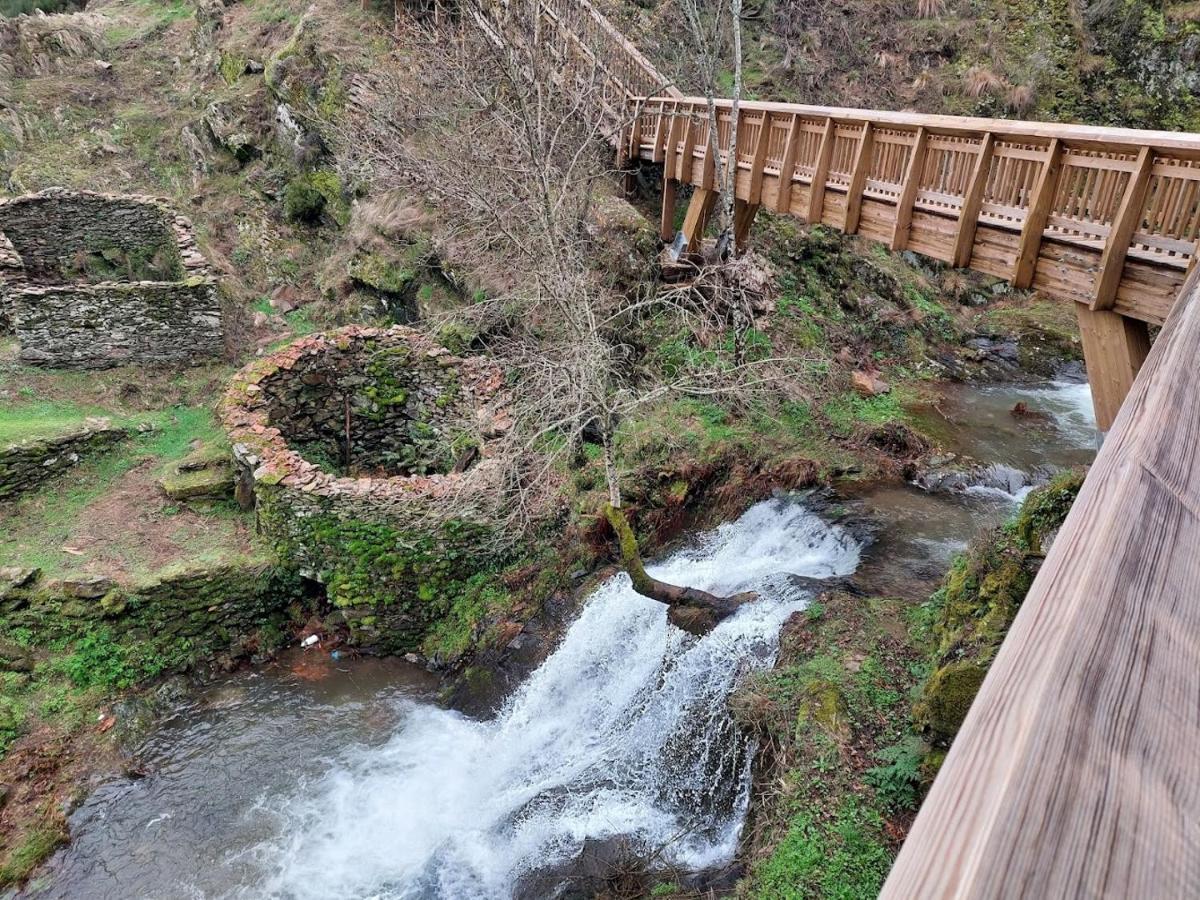 Turismo Rural Macieira Brava Guarda Dış mekan fotoğraf