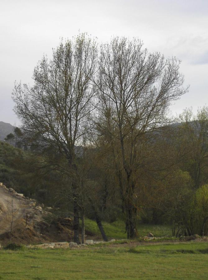 Turismo Rural Macieira Brava Guarda Dış mekan fotoğraf