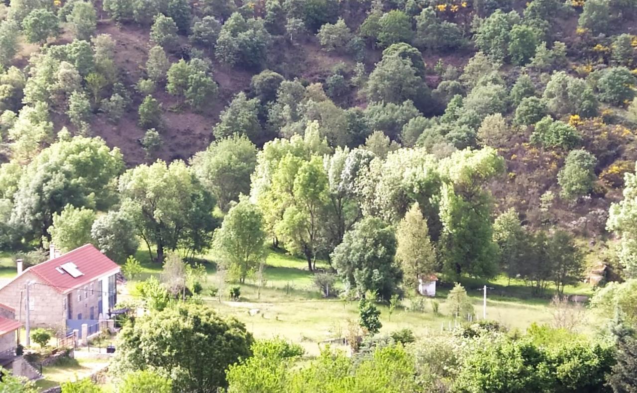 Turismo Rural Macieira Brava Guarda Dış mekan fotoğraf